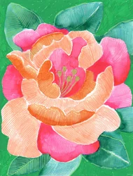 Leuchtende Blumenblüte