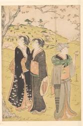 Bewundern der Kirschblüte in Asukayama