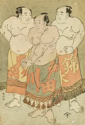 Ganzkörperporträts der Ringer Nishikigi, Todagawa und Iwagaseki, die sich im Ring präsentieren