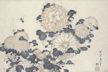 Biene und Chrysanthemen, aus der Serie 