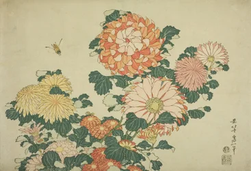 Chrysanthemen und Biene, aus einer unbetitelten Serie großer Blumen, ca. 1833-34