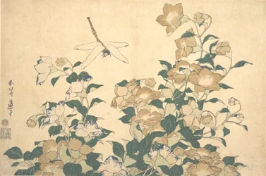 Libelle und Glockenblume, späte 1820er