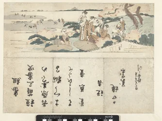 Betrachten der Kirschblüten