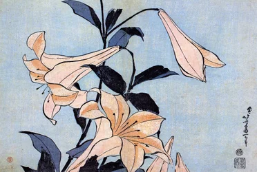 Lilien