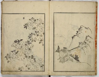 Zufällige Skizzen von Hokusai