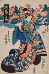 Kirschblüte in Mukojima