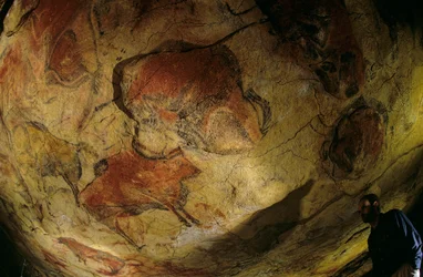 Die Galerie der Bisons, Höhle von Altamira, Spanien, 2000 (Foto)