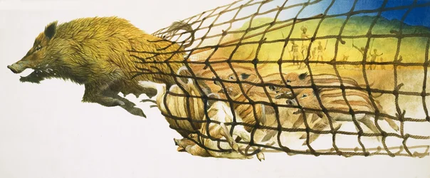 Ein Wildschwein reißt durch ein Jägernetz