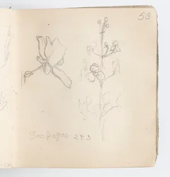 Skizzenbuchseite: Skizze einer Blume