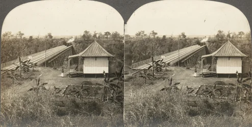 Gruppe von 14 Stereographien von Afrika und Schauspielern