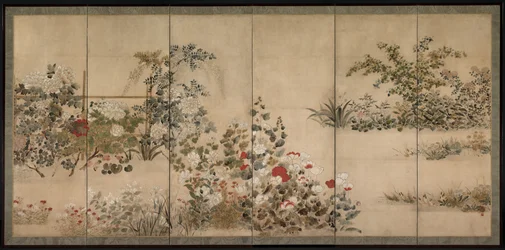 Blumen und Gräser