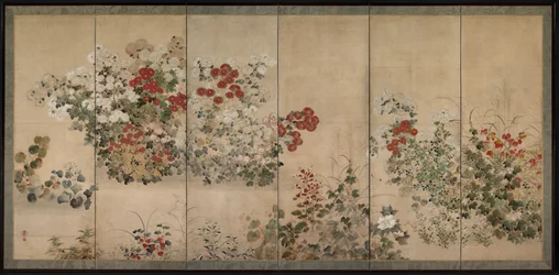 Blumen und Gräser