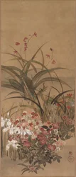 Sommerblumen