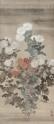Chrysanthemen