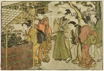 Ausstellung von Chrysanthemen, aus dem illustrierten Buch "Bilderbuch: Blumen der vier Jahreszeiten (Ehon shiki no hana)," Bd. 2