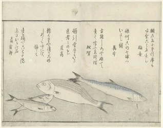 Vier Fische