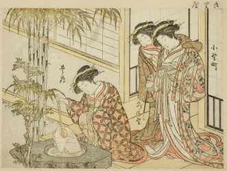 Kurtisanen von Maruya, aus dem Buch "Spiegel der schönen Frauen der Vergnügungsviertel (Seiro bijin awase sugata kagami)," Bd. 2