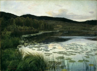 Sommernacht