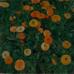 Ringelblumen