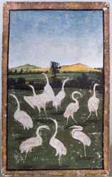 Reiher auf einem Feld, eines von einem Satz Spielkarten, die Szenen des höfischen Falkenflugs darstellen, Oberrhein-Gebiet, ca. 1440-45