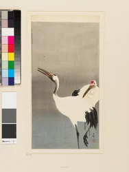 Zwei japanische Kraniche waten in einem Teich