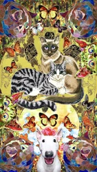 Verspielte Katzen- und Hundefreunde