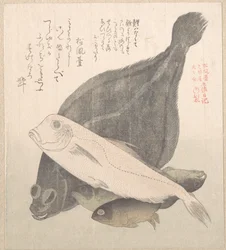 Flunder und andere Fische
