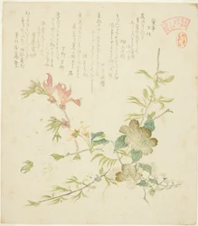 Verschiedene Frühlingsblumen, aus der Serie "Frühlingspflanzen und -bäume für den Kasumi-Dichtkreis der Yomo-Gruppe (Yomogawa Kasumi-ren haru no kusaki no uchi)"