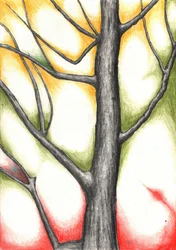 Herbstbaumglühen