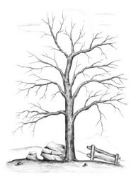 Kahler Winterbaum