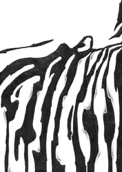 Fließendes Zebra-Muster
