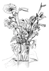 Bleistift-Blumenstillleben