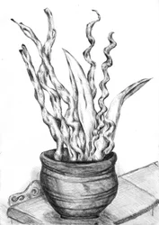 Topfpflanze Stillleben