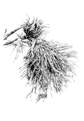 Stachelige Disteltextur
