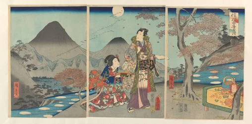 Der Mond spiegelt sich in den Reisfeldern von Shinano