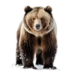 Das 286. Bild seit das zweite Mal die Sonnenuntergänge vorbeiziehen 1