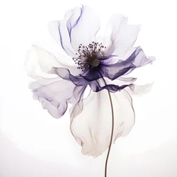 minimalistische Komposition