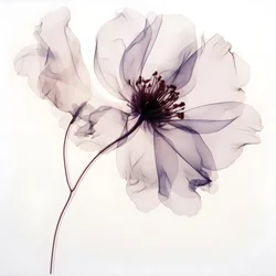 minimalistische Komposition