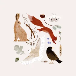 Ruhige Morgendämmerung, 2024