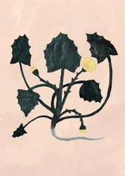 Unbekannte Pflanze, 2018