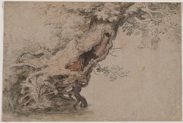 Hohler Baum, nach Roelant Savery