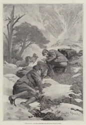 Hind-Stalking, das Wild gestört und die Pirsch durch Schafe ruiniert