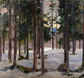 Bäume im Winterlicht