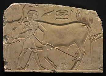 Männer, die einen Ochsen binden, 667-647 v. Chr.