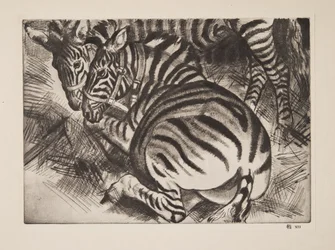 Zebras, veröffentlicht 1930