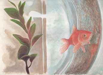 Gänseblümchen, ca. 2016