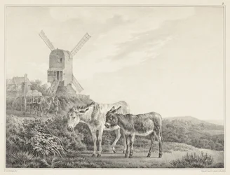 Zwei Esel in einer Landschaft bei einer Mühle