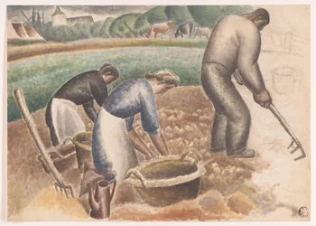 Kartoffelernter auf dem Feld