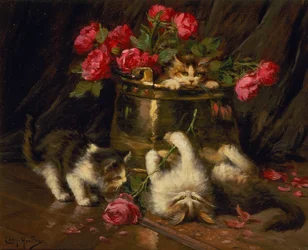 Verspielte Kätzchen