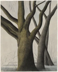 Großer Baum